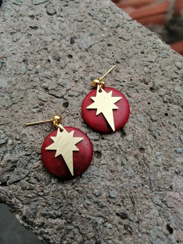 Yıldız Detaylı Bordo Küpe 1